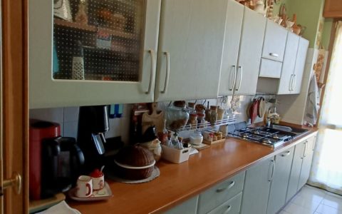 20240912_130832000_iOS