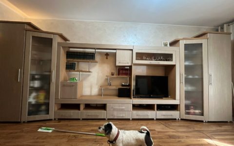 Immagine WhatsApp 2024-08-30 ore 16.40.20_8d0d4da5 - Copia